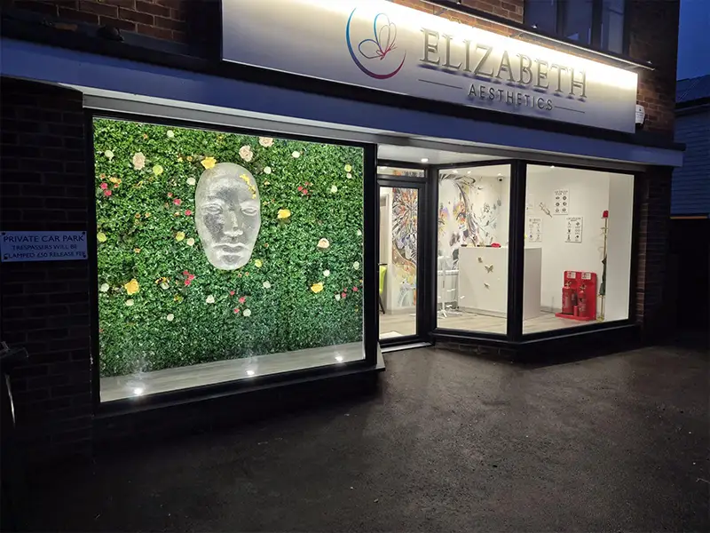 Elizabeth Aesthetics